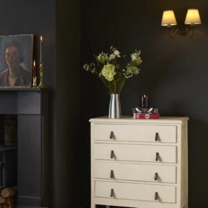 Canvas kredowa farba do mebli Annie Sloan